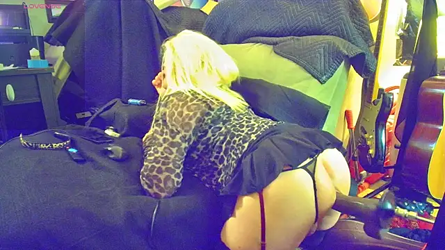 DoMeDoggyDiana online show from April 6, 2026, 6:47 am