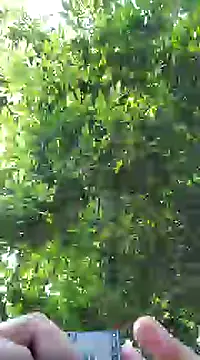 pene8991 online show from January 17, 2025, 7:16 pm