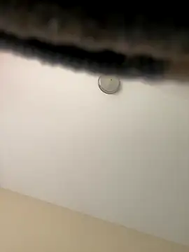 Iced cloudz online show from December 14, 2025, 3:17 pm