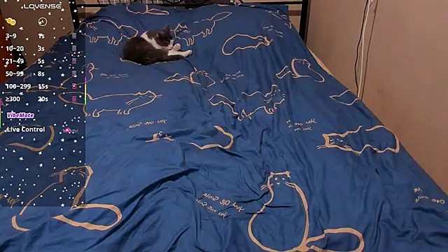 eva zero online show from February 27, 2026, 2:28 pm