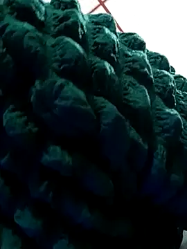 kelly dirty  online show from March 19, 2025, 6:44 pm