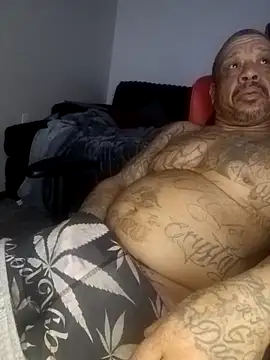 Snapshot of yellowwetfox chatting on February 7, 2026, 4:49 am yellowwetfox online show from February 7, 2026, 4:49 am