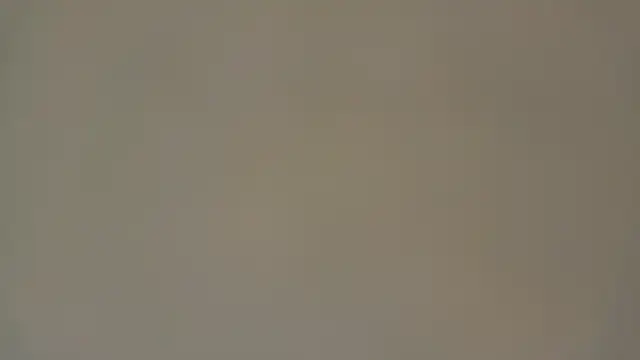 Eva Rodriguez  online show from April 5, 2026, 4:09 am