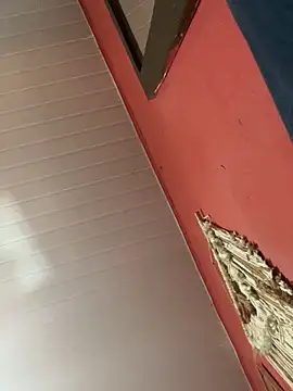 pimenta gaby online show from October 18, 2025, 1:01 pm