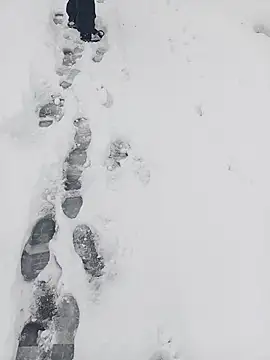 Saysomething3 online show from January 11, 2026, 7:57 am