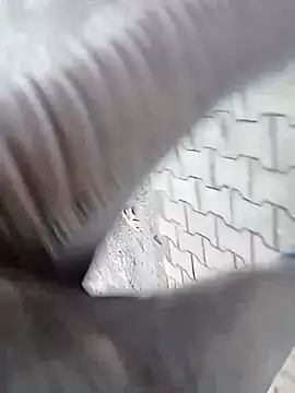 kevgir08 online show from December 17, 2024, 1:49 pm