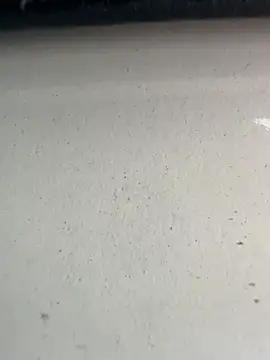 Snapshot of S2kicibey06 chatting on February 7, 2025, 7:29 am S2kicibey06 online show from February 7, 2025, 7:29 am