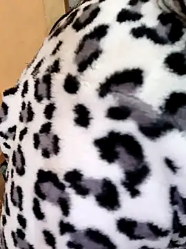 Diya 143 online show from December 22, 2025, 6:10 am