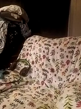 ShadowyTube online show from February 19, 2025, 6:33 am