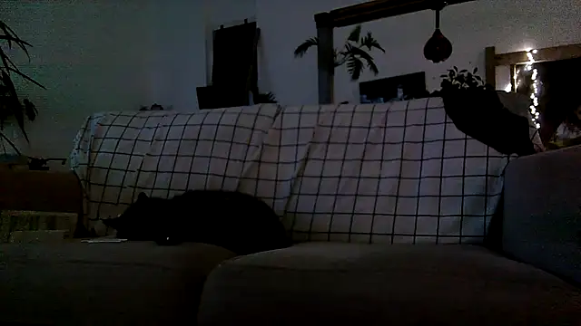 Snapshot of iamsex6969 chatting on April 15, 2026, 3:57 am iamsex6969 online show from April 15, 2026, 3:57 am