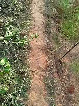 Gopal1243 online show from December 14, 2024, 2:01 am