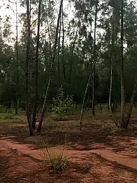 Gopal1243 online show from October 9, 2025, 1:58 am