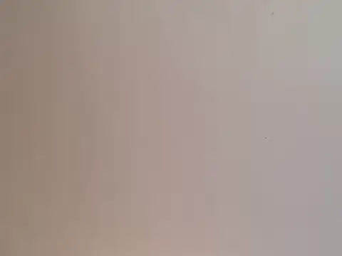 Snapshot of highstepper500 chatting on December 25, 2024, 2:02 pm highstepper500 online show from December 25, 2024, 2:02 pm