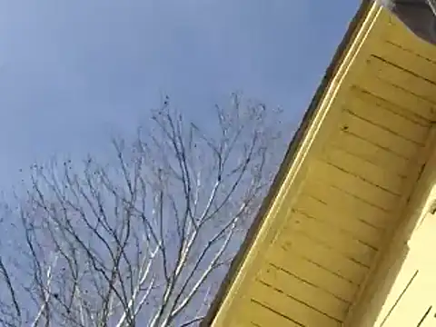 Snapshot of highstepper500 chatting on December 26, 2024, 2:12 am highstepper500 online show from December 26, 2024, 2:12 am