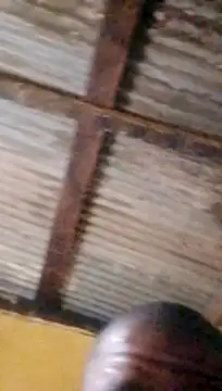 LULE37587001 online show from March 18, 2026, 10:35 pm