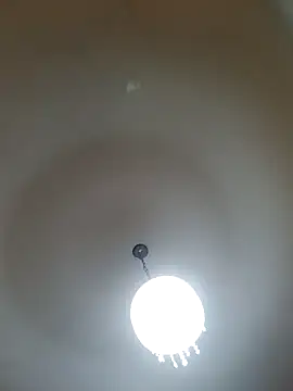 Snapshot of White_rabbit_ chatting on February 26, 2025, 7:16 pm White rabbit  online show from February 26, 2025, 7:16 pm