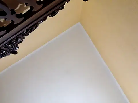 Snapshot of White_rabbit_ chatting on October 29, 2025, 10:00 pm White rabbit  online show from October 29, 2025, 10:00 pm