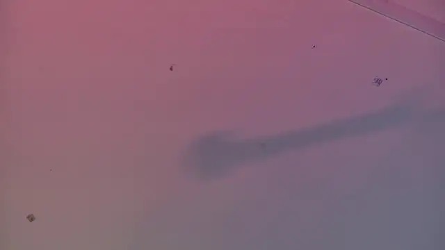 Scarlett collins02 online show from March 22, 2025, 8:08 am