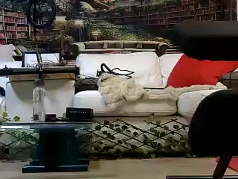 OSIRlS online show from January 6, 2025, 1:30 pm