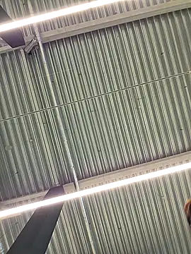 Snapshot of LeticiaWoods chatting on October 19, 2025, 12:28 pm LeticiaWoods online show from October 19, 2025, 12:28 pm