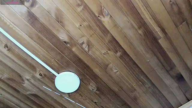 natasha logan  online show from September 20, 2025, 4:13 am