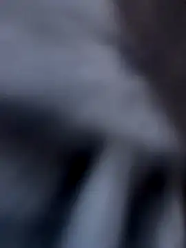 Fellix online show from December 3, 2024, 11:44 am