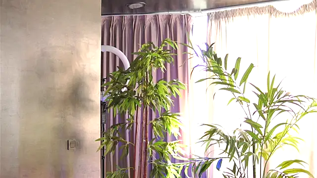 HotSkinnyX online show from October 11, 2025, 9:41 am