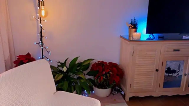 anabelcurvy online show from December 8, 2024, 4:07 pm