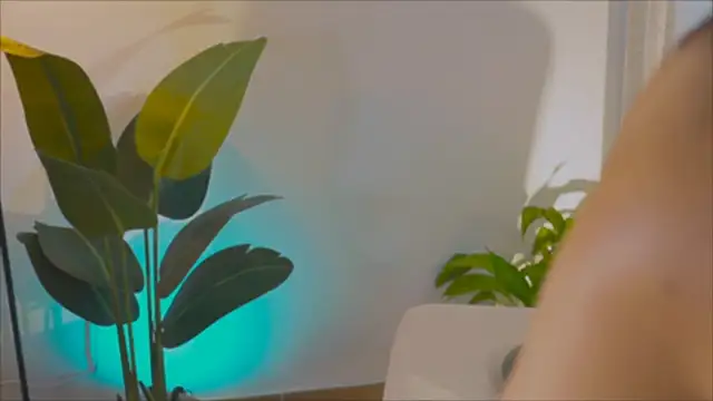 anabelcurvy online show from February 6, 2025, 4:03 pm