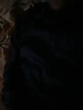 Itsdesi boy online show from November 9, 2025, 12:14 pm