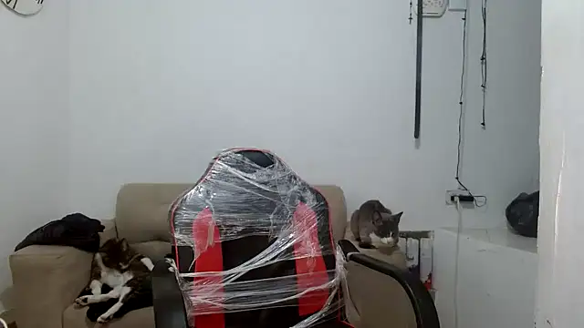 angelamarie1 online show from September 29, 2025, 11:04 am