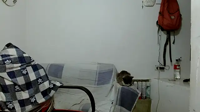 angelamarie1 online show from October 18, 2025, 12:06 pm