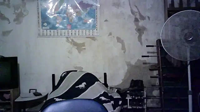 Emv2 online show from November 26, 2025, 4:57 am