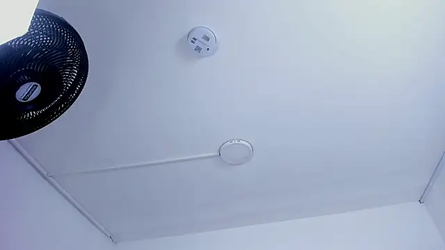 EMMAHILL1 online show from February 19, 2026, 11:06 am