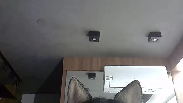 Skinny-Kitten online show from November 5, 2025, 3:39 am