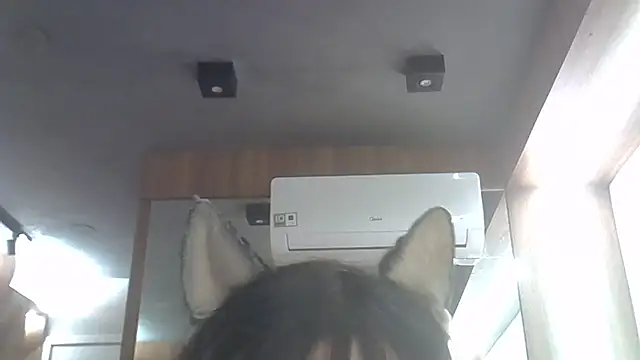 Skinny-Kitten online show from June 4, 2026, 11:33 pm