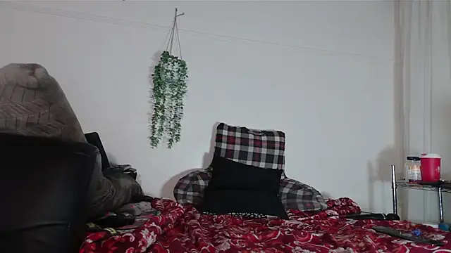 Snapshot of VANESSADDD chatting on February 14, 2025, 11:09 pm VANESSADDD online show from February 14, 2025, 11:09 pm