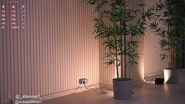 Abbela White online show from January 27, 2025, 9:23 am