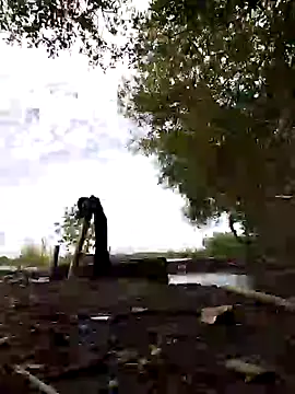 Dwirosebig online show from January 12, 2025, 2:45 am