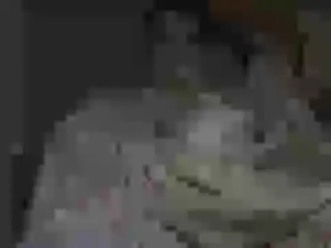 maxstelll online show from February 24, 2026, 4:21 am