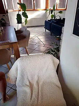 Isabellaa04 online show from October 11, 2025, 2:15 pm