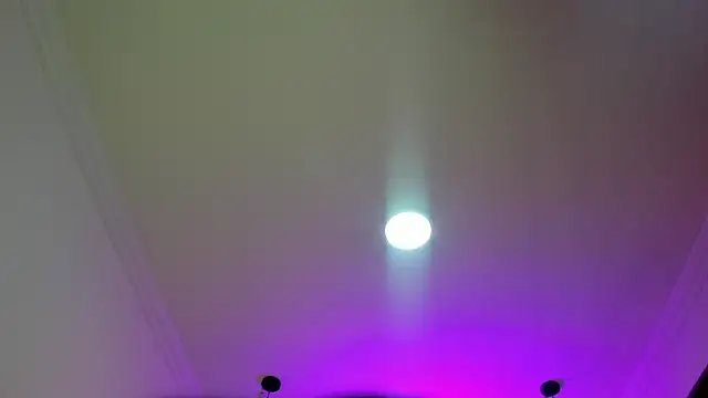 nalalye cruzz  online show from March 8, 2026, 2:04 am