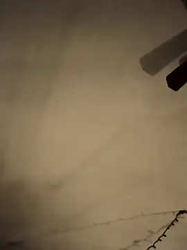 Snapshot of Midwestalpha chatting on February 21, 2025, 6:04 pm Midwestalpha online show from February 21, 2025, 6:04 pm