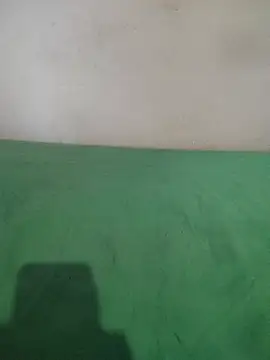 Snapshot of _Scorpion_ chatting on February 11, 2025, 7:38 pm Scorpion online show from February 11, 2025, 7:38 pm