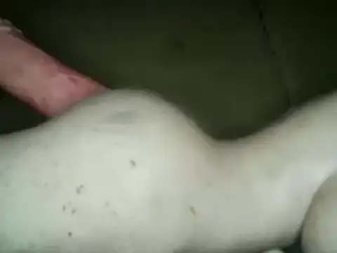 Snapshot of xxxlecram chatting on March 4, 2025, 7:19 am xxxlecram online show from March 4, 2025, 7:19 am