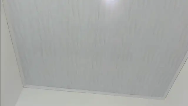 merlyna goldens online show from November 22, 2025, 11:31 am