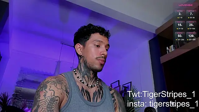 Snapshot of TigerStripes1_ chatting on March 2, 2025, 1:47 am TigerStripes1 online show from March 2, 2025, 1:47 am