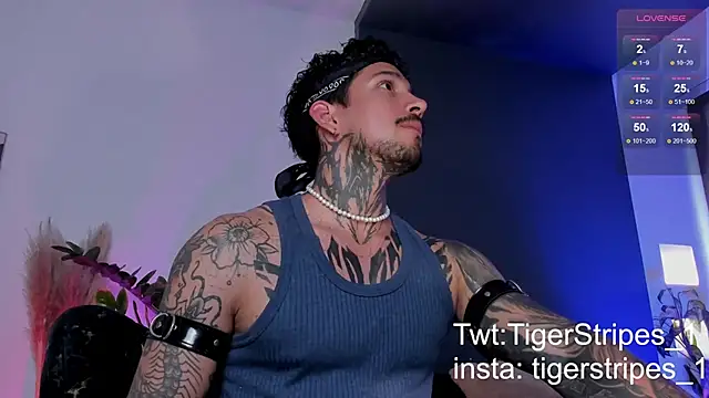 Snapshot of TigerStripes1_ chatting on March 19, 2025, 8:54 pm TigerStripes1 online show from March 19, 2025, 8:54 pm