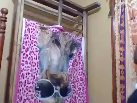 sweetbabra1 online show from February 11, 2025, 5:58 am