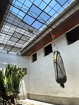 oliver price1 online show from September 9, 2025, 4:06 pm